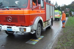 GF_Elgg_2003_27