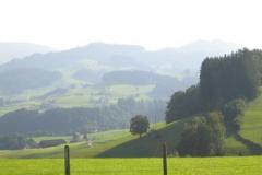IMG_1150