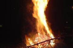 20050109_Christbaum_02