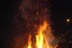 20050109_Christbaum_03