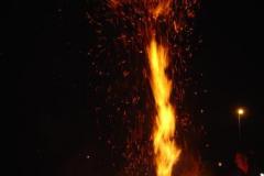 20050109_Christbaum_04