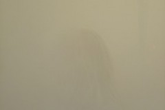 DSC03302