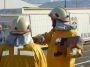 thumb_DSC03294