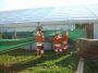 thumb_DSC03329