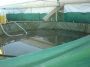 thumb_DSC03330