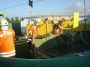 thumb_DSC03336