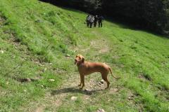 Bild-033-Small