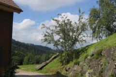 Bild-037-Small