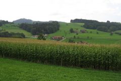 Bild-006
