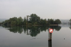 Altreu_06