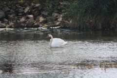 Irgendwo3_03