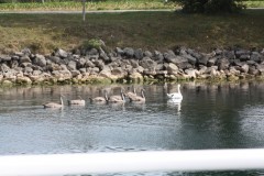 Irgendwo3_06