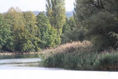Irgendwo3_08
