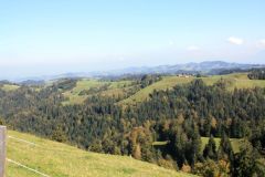 Trottinett_3