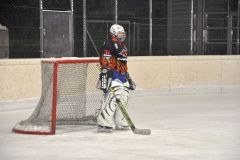2013_Eishockey_02