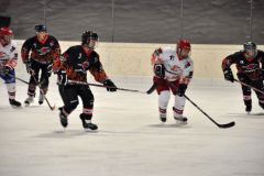 2013_Eishockey_03