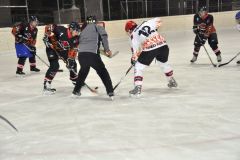 2013_Eishockey_04