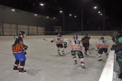 2013_Eishockey_05