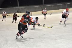 2013_Eishockey_09