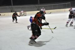 2013_Eishockey_10