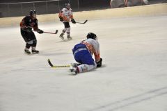 2013_Eishockey_11