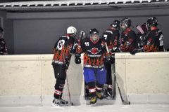 2013_Eishockey_14