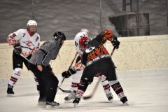 2013_Eishockey_16