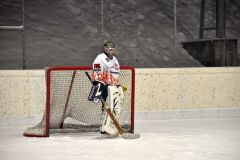 2013_Eishockey_17