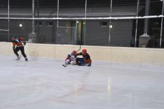 2013_Eishockey_20