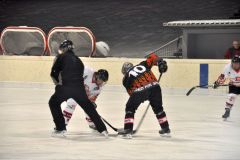 2013_Eishockey_21