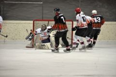 2013_Eishockey_22
