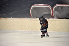 2013_Eishockey_24