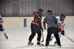 2013_Eishockey_28
