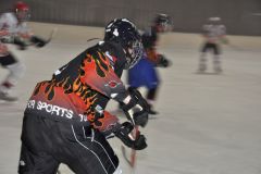 2013_Eishockey_29