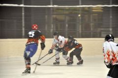 2013_Eishockey_30