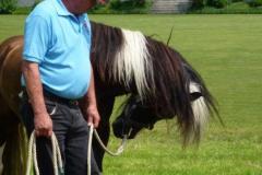 20130706_Lengwil_09