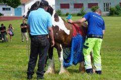 20130706_Lengwil_10