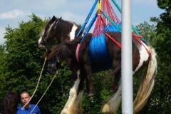 20130706_Lengwil_12