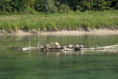20130823_FwReiseMuenchen_023