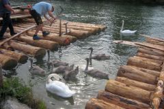 20130823_FwReiseMuenchen_095