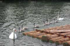 20130823_FwReiseMuenchen_097