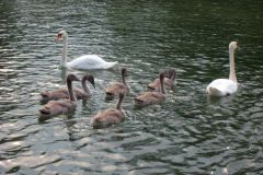 20130823_FwReiseMuenchen_100