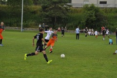 20140705_Gruempi_6