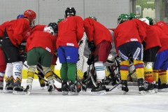 2015_Eishockey_FwTV_05