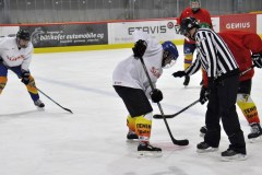 2015_Eishockey_FwTV_06