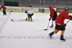 2015_Eishockey_FwTV_12