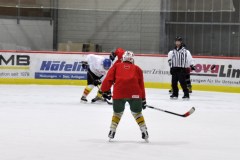 2015_Eishockey_FwTV_17