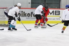 2015_Eishockey_FwTV_20