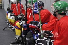 2015_Eishockey_FwTV_24