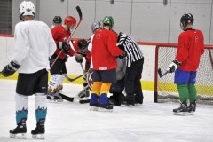 2015_Eishockey_FwTV_25